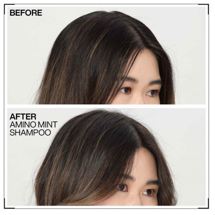 Redken Amino Mint Shampoo