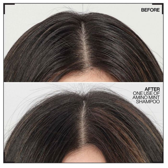 Redken Amino Mint Shampoo