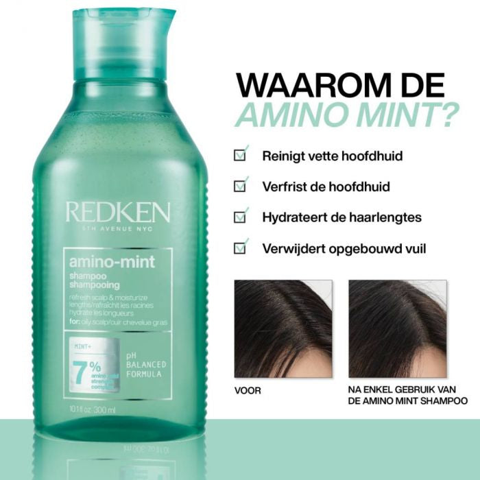 Redken Amino Mint Shampoo
