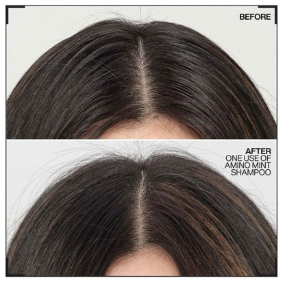 Redken Amino Mint Shampoo