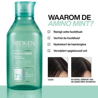 Redken Amino Mint Shampoo